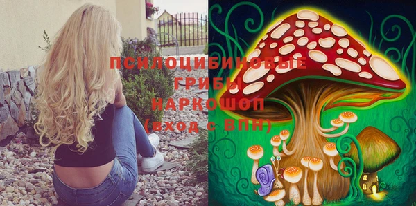 дурь Балахна