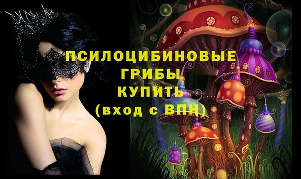 дурь Балахна